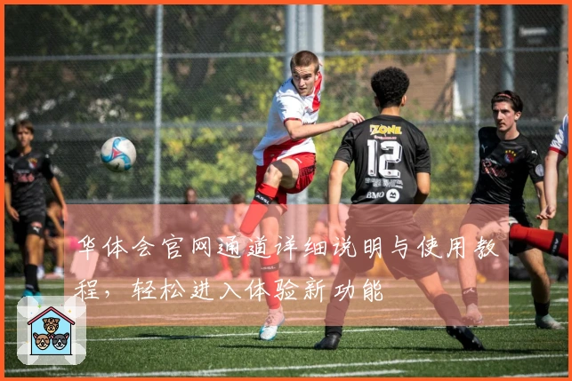 华体会官网通道详细说明与使用教程，轻松进入体验新功能