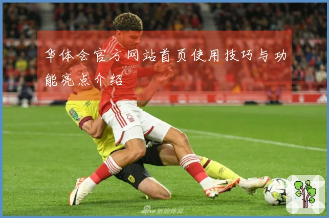 华体会官方网站首页使用技巧与功能亮点介绍